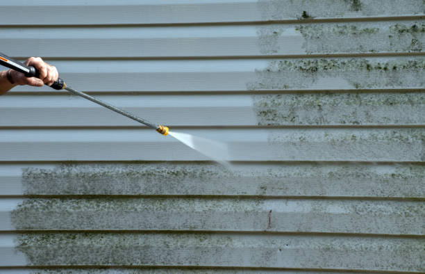 Trusted Adelphi, MD Pressure Washing Experts